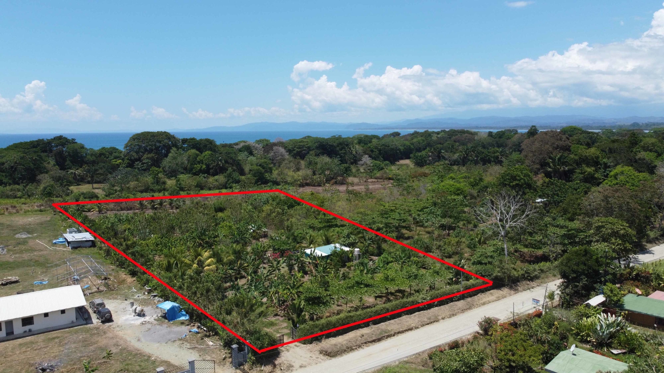 finca-cacao-pavones-costa-rica