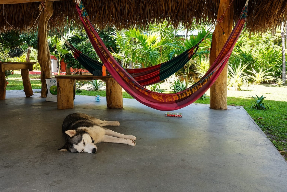 el-ranchito-surf-camp-school-panama-for-sale