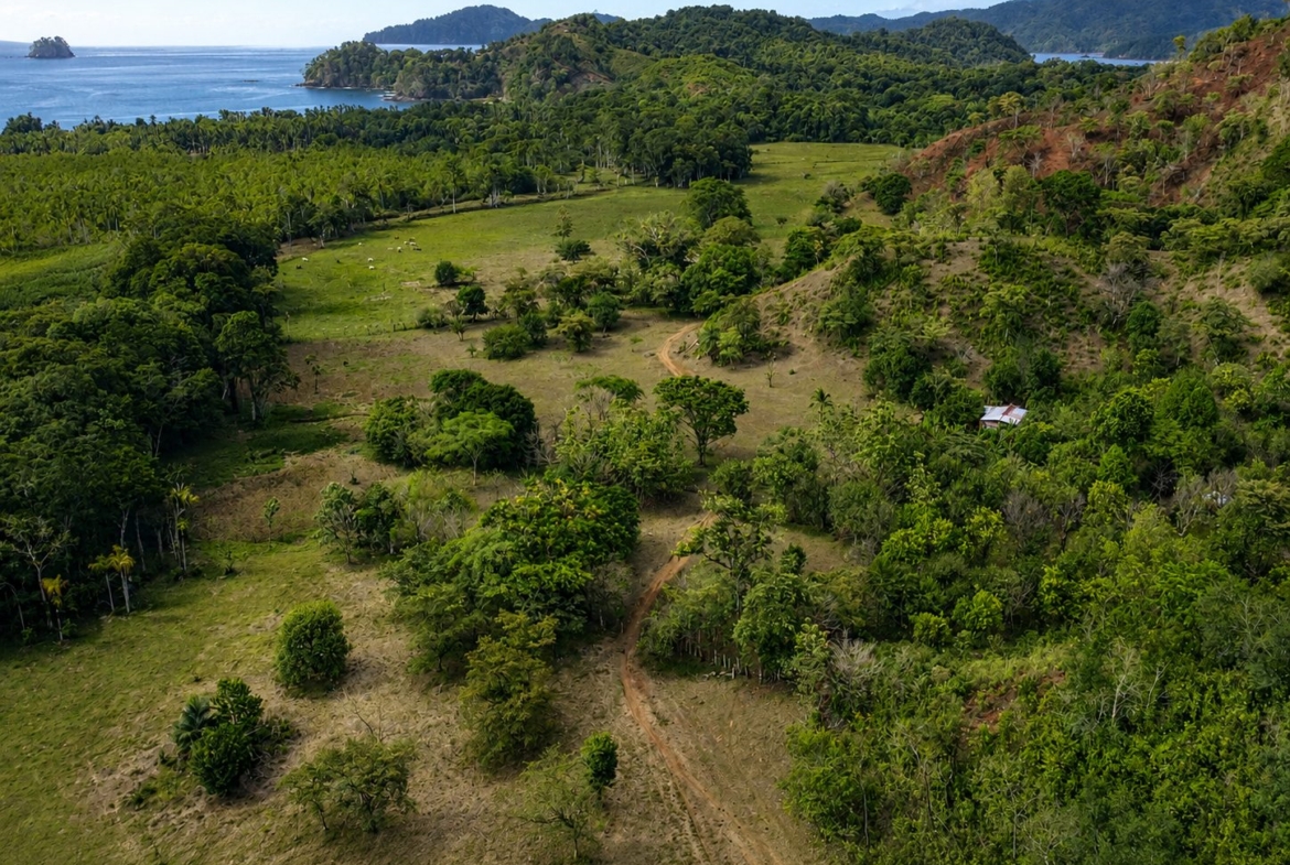 pixvae-veraguas-panama-ocean-view-land-for-sale