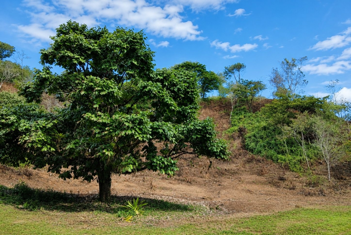 pixvae-veraguas-panama-ocean-view-land-for-sale