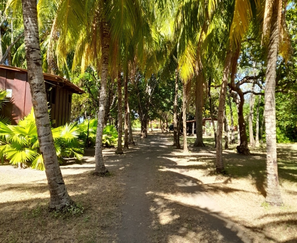 beachfront-surf-resort-investment-nicaragua