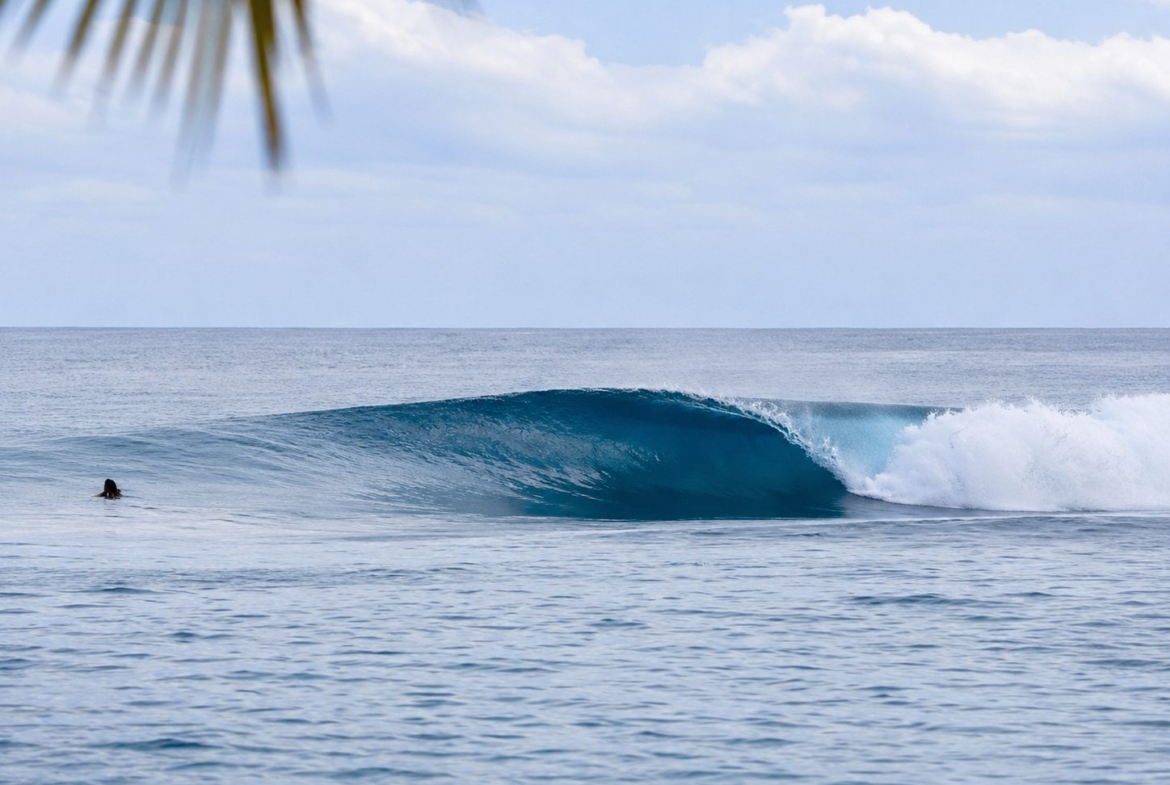 hollow-trees-mentawai-surfing-beautiful
