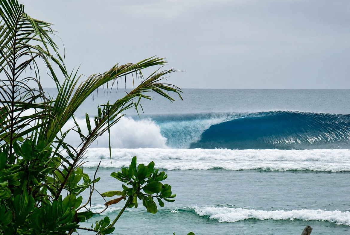 lances-lefts-mentawai-isp
